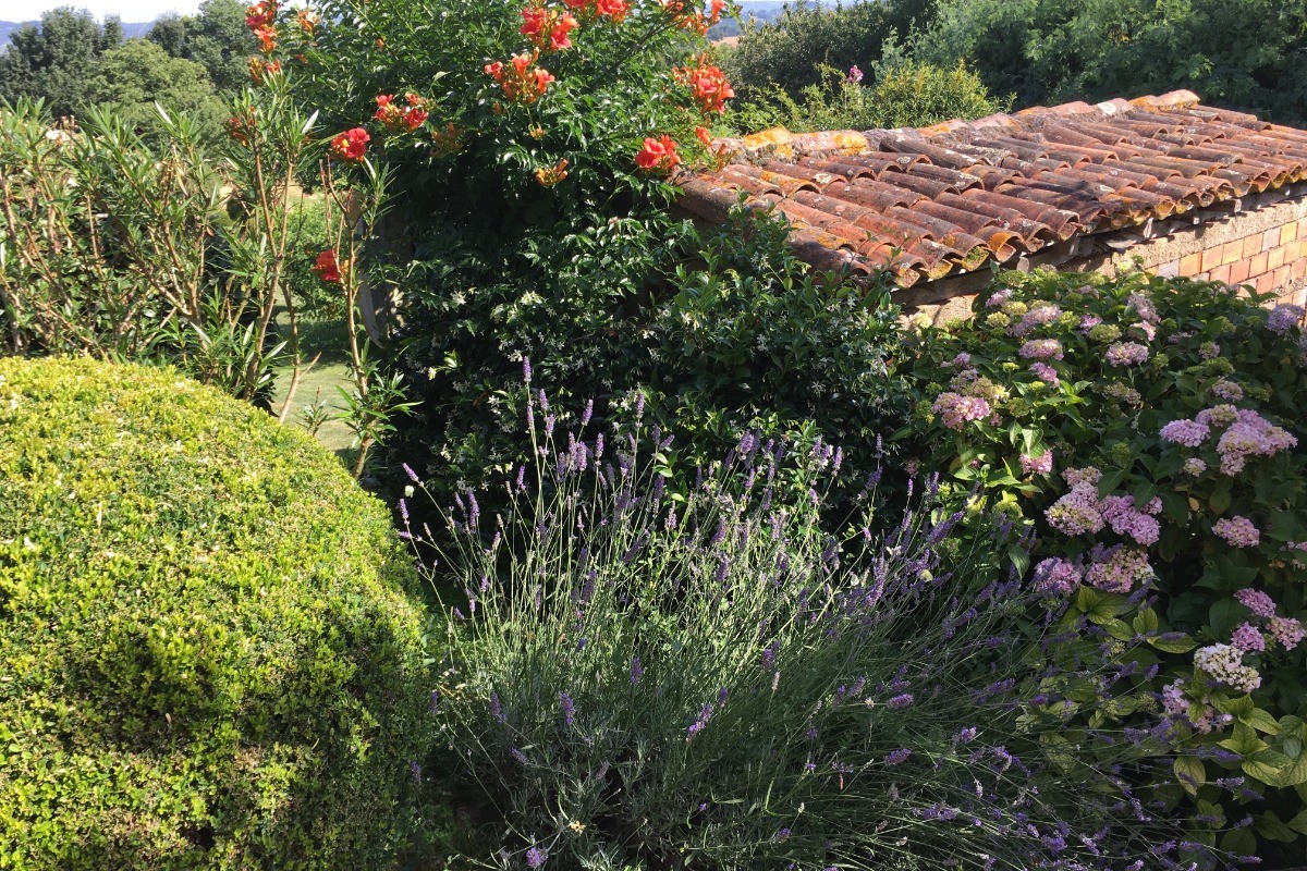 Le jardin du Gite Au Bouzigues