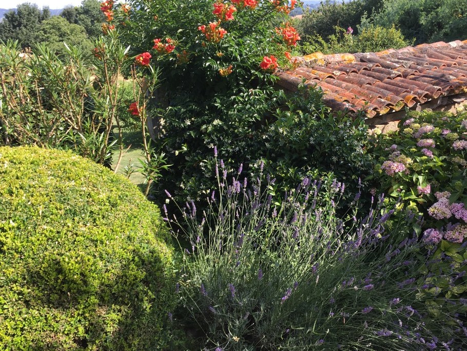 Le jardin du Gite Au Bouzigues