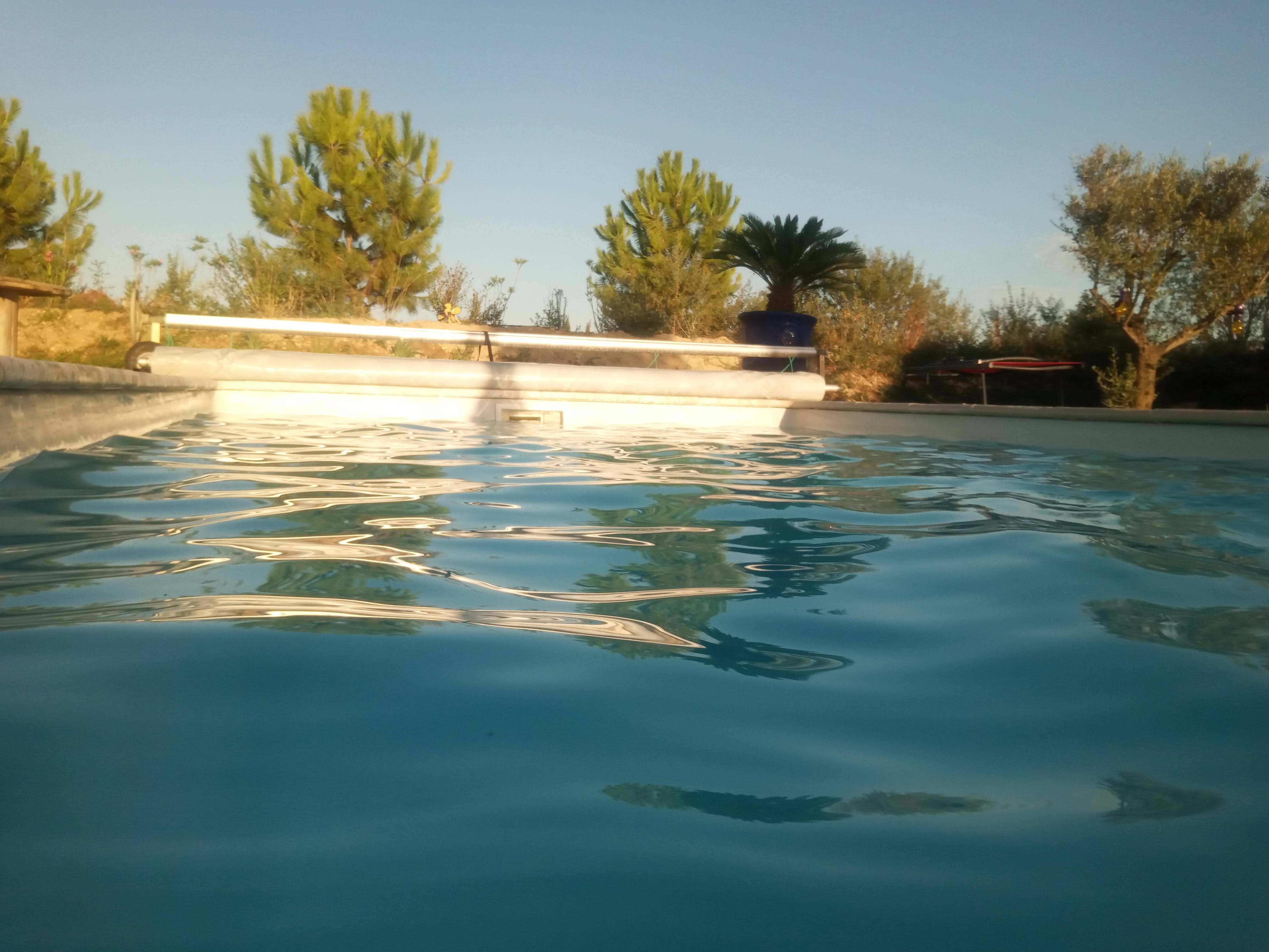 the pool