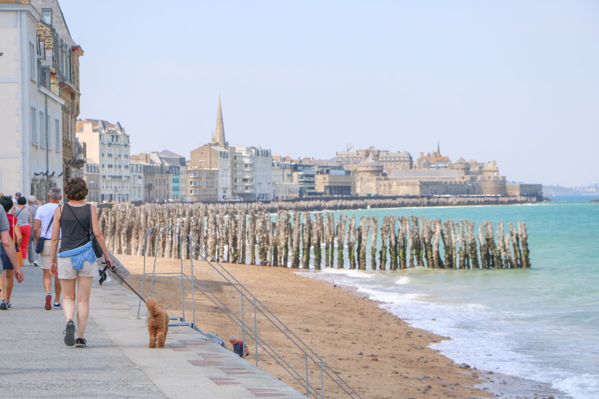 Walk or cycle along the Sillon in Saint-Malo. From the studio, you can reach the city centre by foot in 40 minutes or by bike in 12 minutes (cycle path).