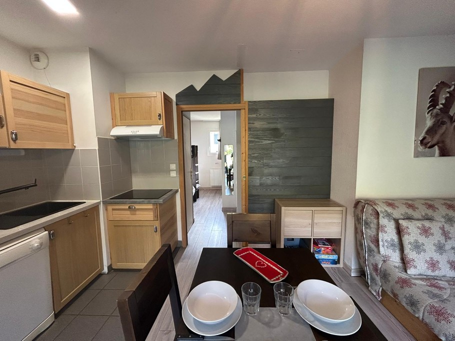 Salon / séjour / cuisine