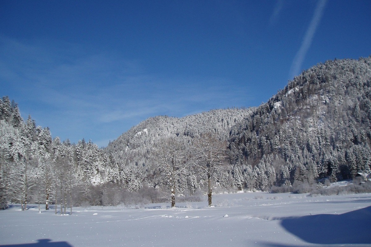 Vue de la fenêtre du salon ou de la première chambre - Maison au calme entre Gérardmer et La Bresse – Proche lac de Retournemer