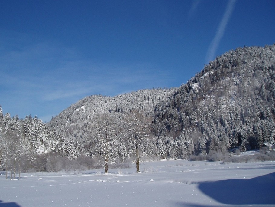 Vue de la fenêtre du salon ou de la première chambre - Maison au calme entre Gérardmer et La Bresse – Proche lac de Retournemer