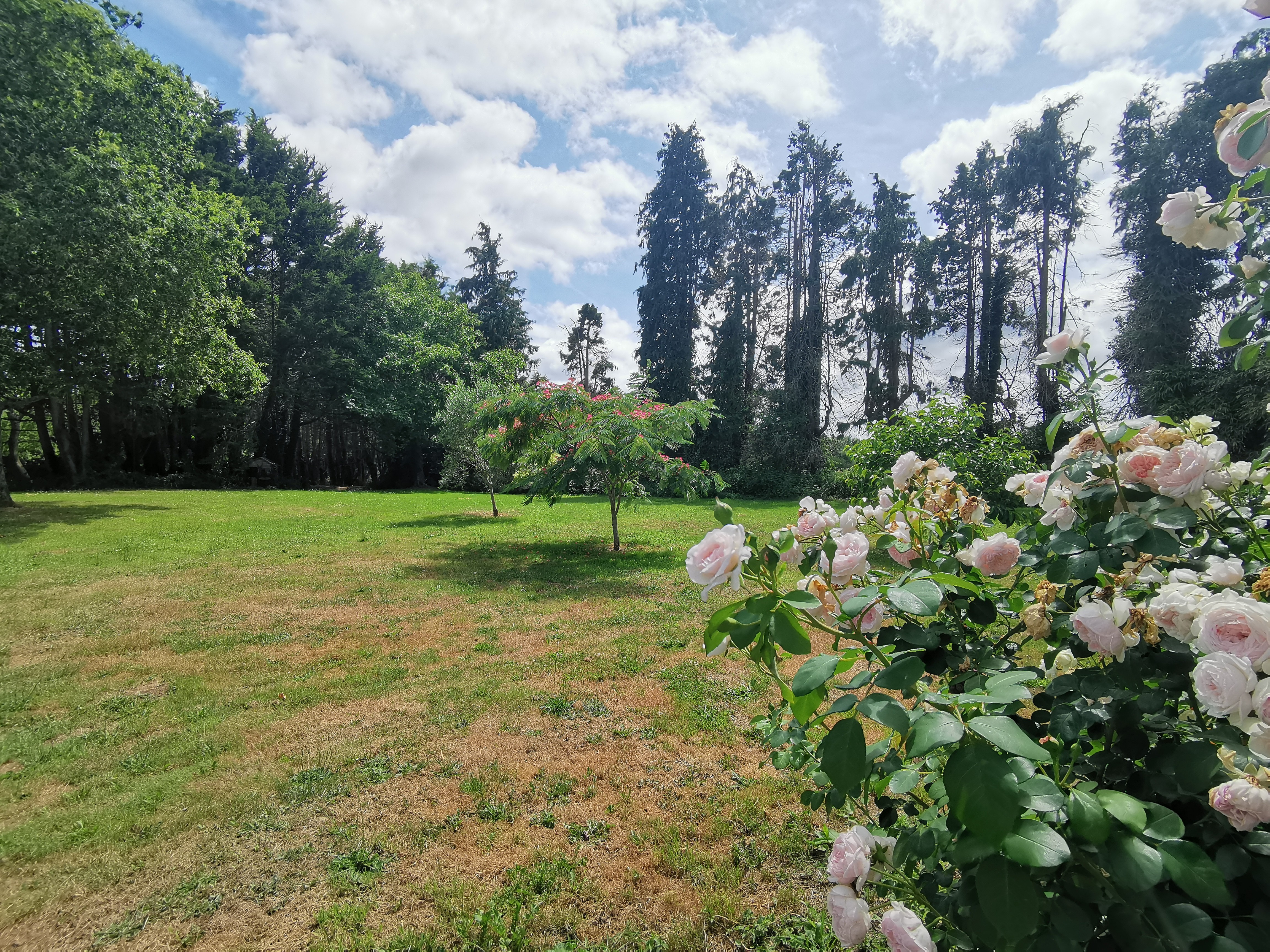 Photo n° 20 of the location