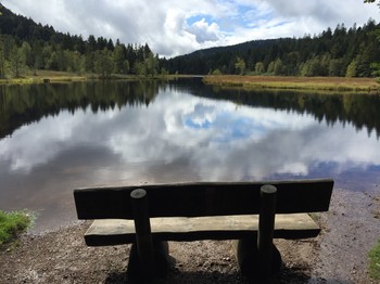 Lispach Lake and its protected peat bog in the heart of the Ballons des Vosges Regional Park. An enchanted interlude!