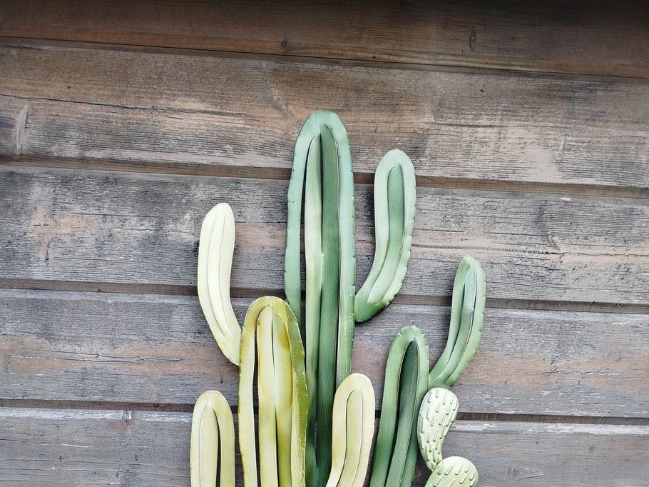 On the spa terrace 🌵