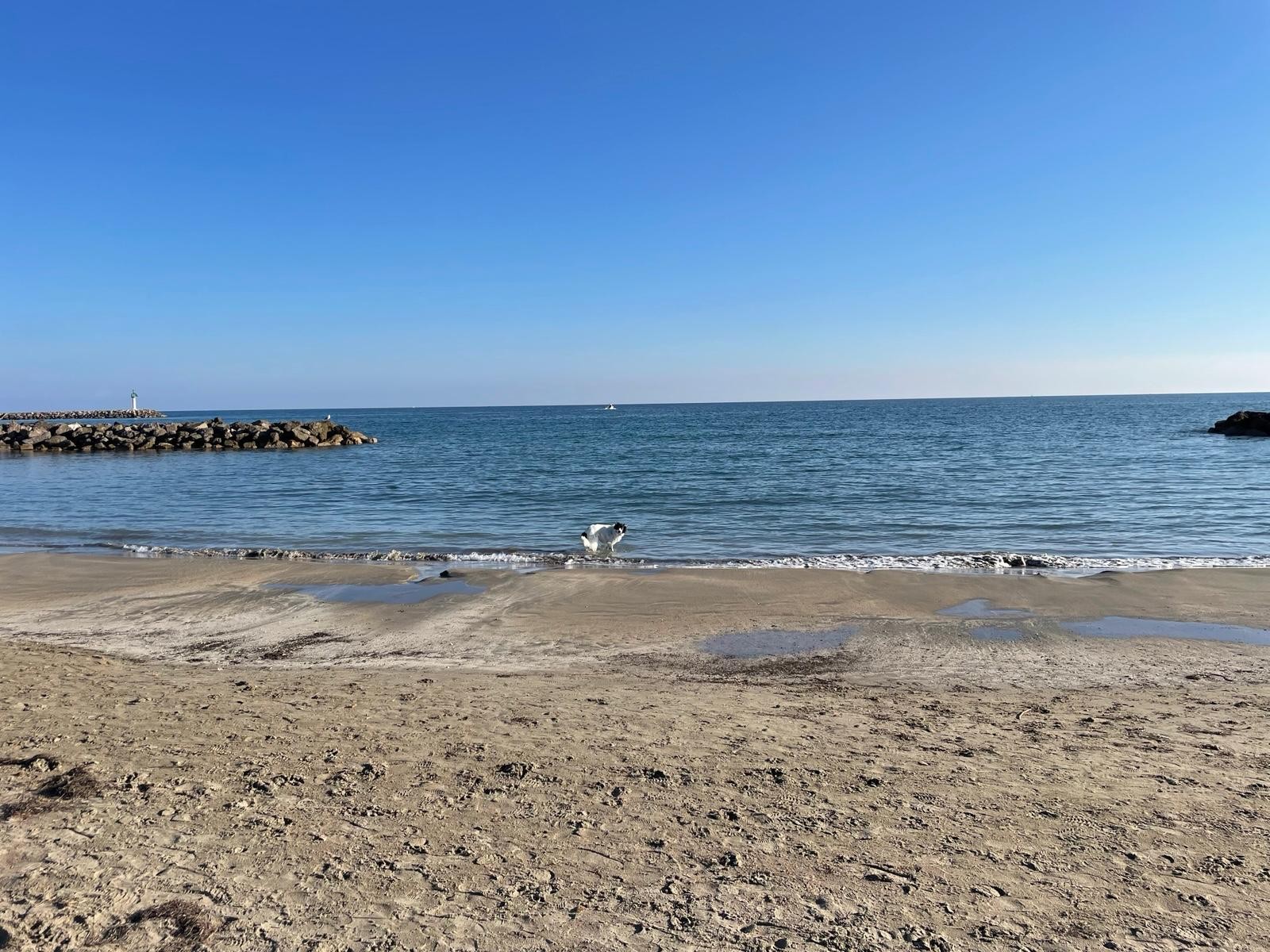 Photo n° 12 of the location