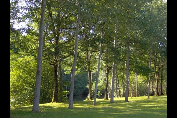 Gîte de pêche, au bord de la rivière La Creuse, 6 personnes, à Glénic en Creuse