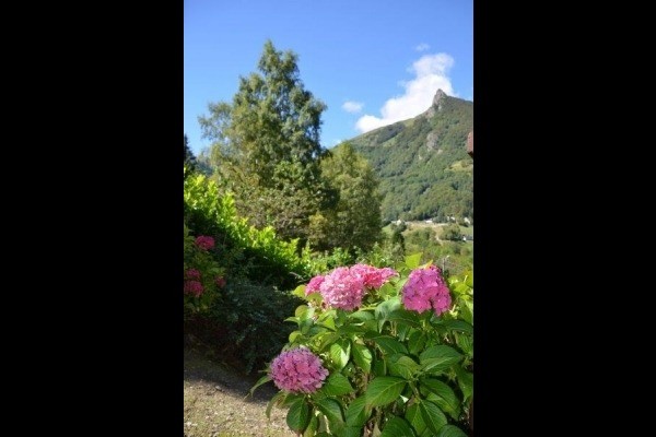été au jardin