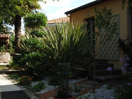 Image n° 4 de la location