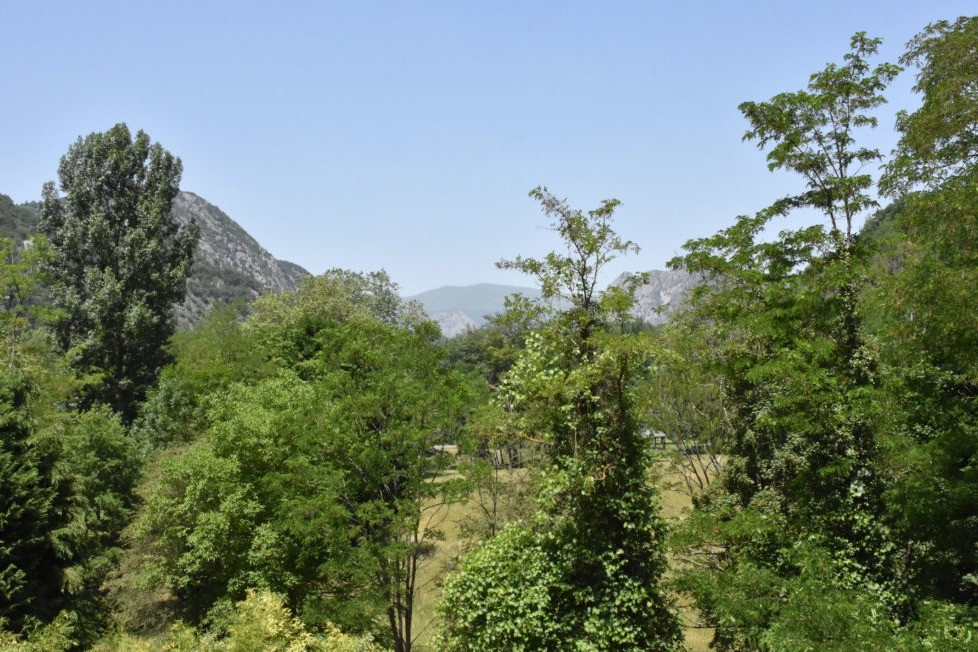Vue sur la montagne