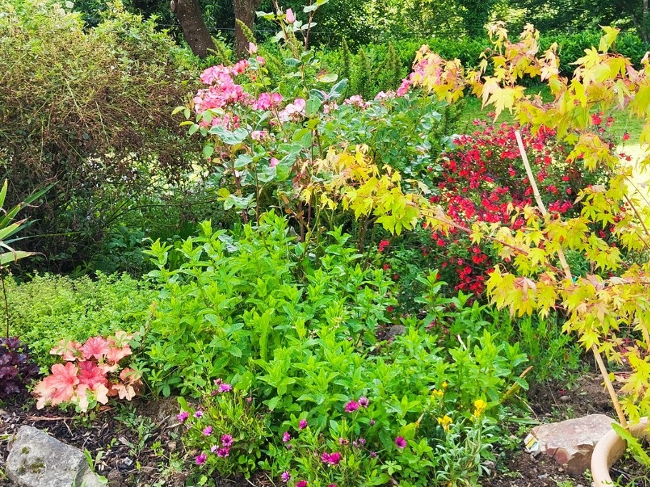 Photo n° 11 de la location