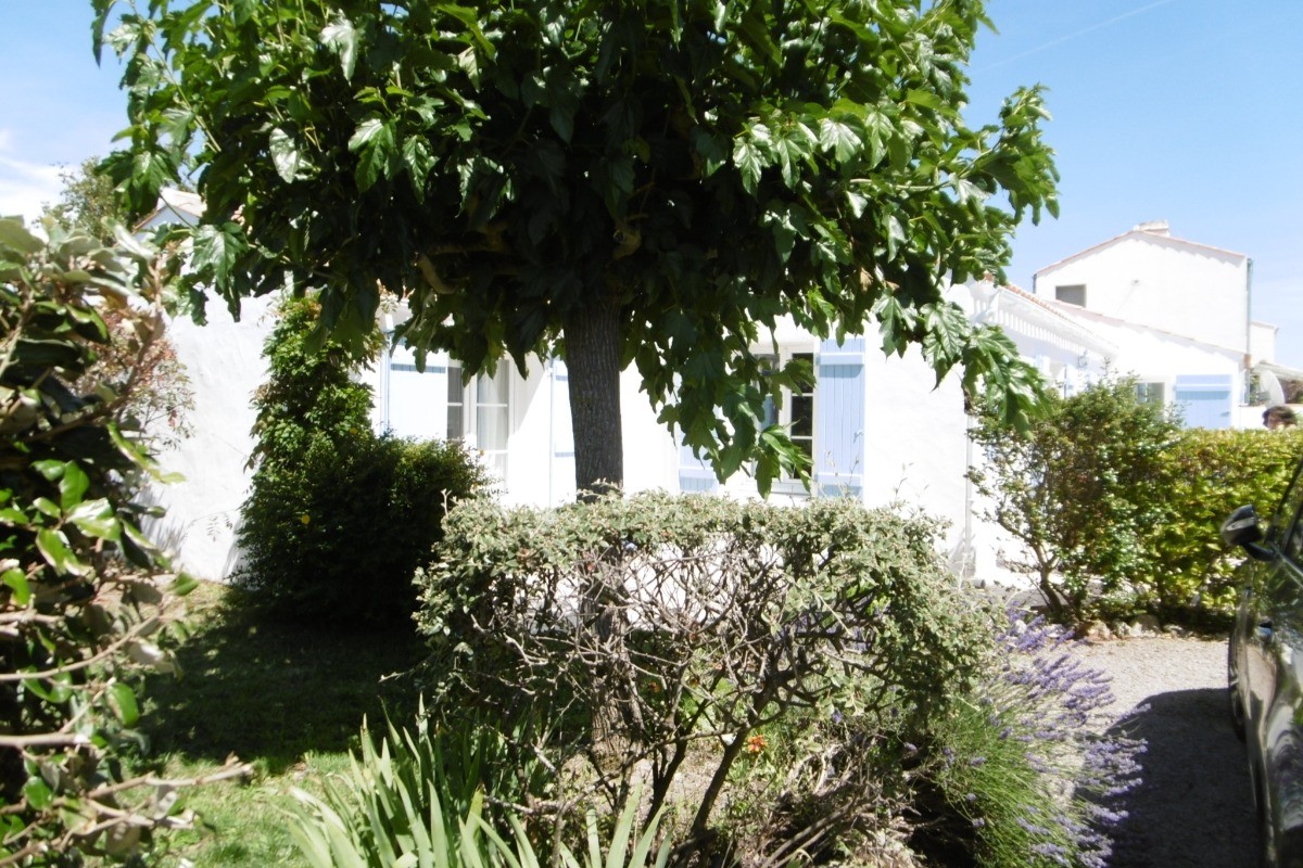 Photo n° 11 de la location