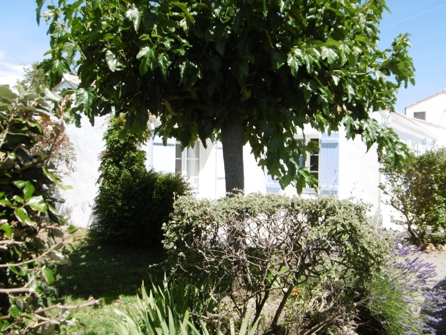 Photo n° 11 de la location