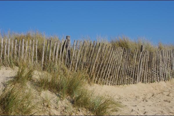 La dune