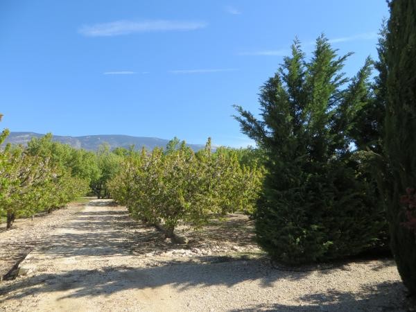 Photo n° 14 of the location