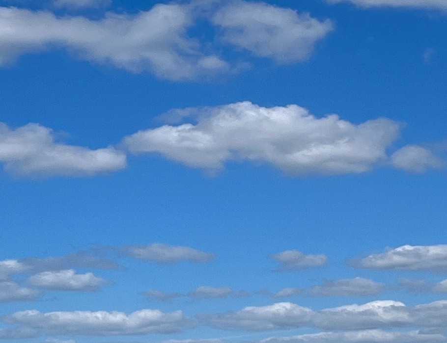 Un des deux clubs de voile