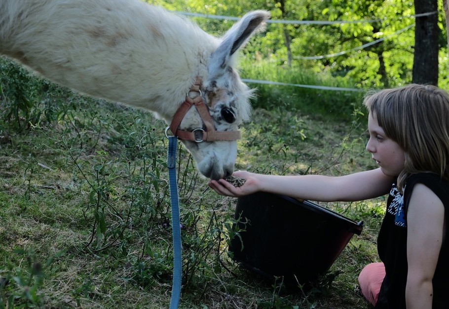 Photo n° 9 de la location