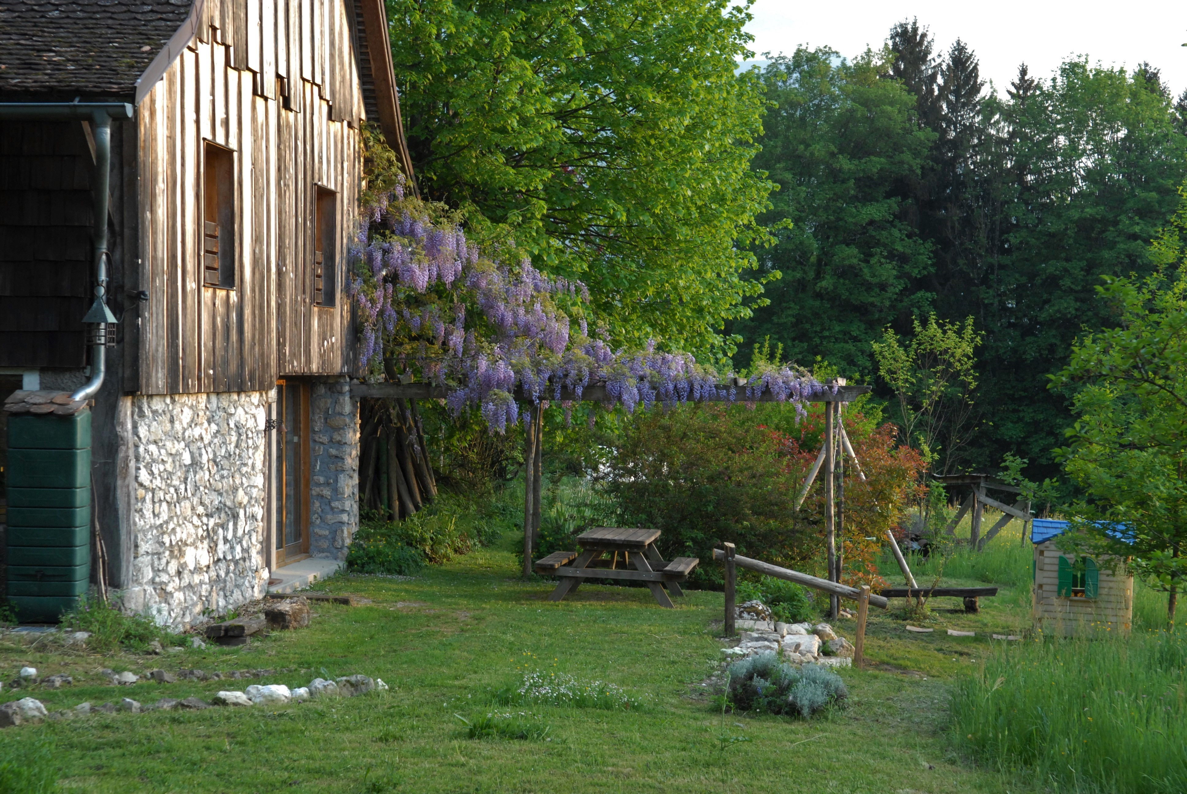 Devant le gîte, à l'ombre de la glycine