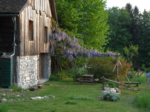 In front of the gîte, in the shade of the wisteria