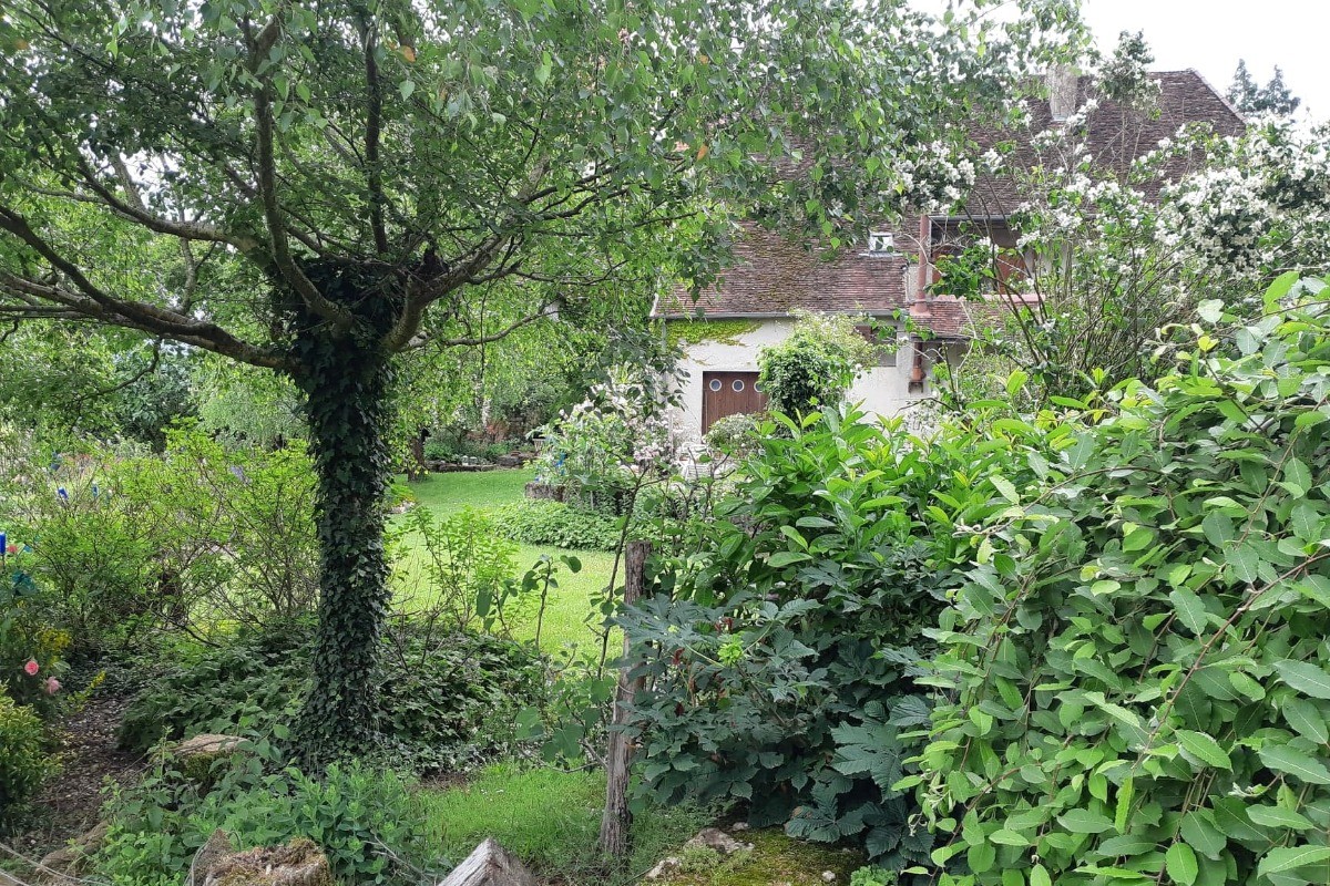 Photo n° 11 de la location