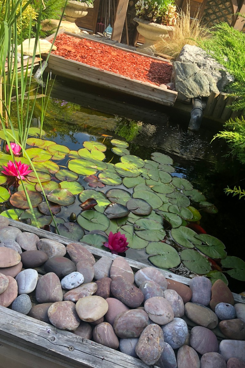 En été vous pourrez profiter du calme de notre grand jardin