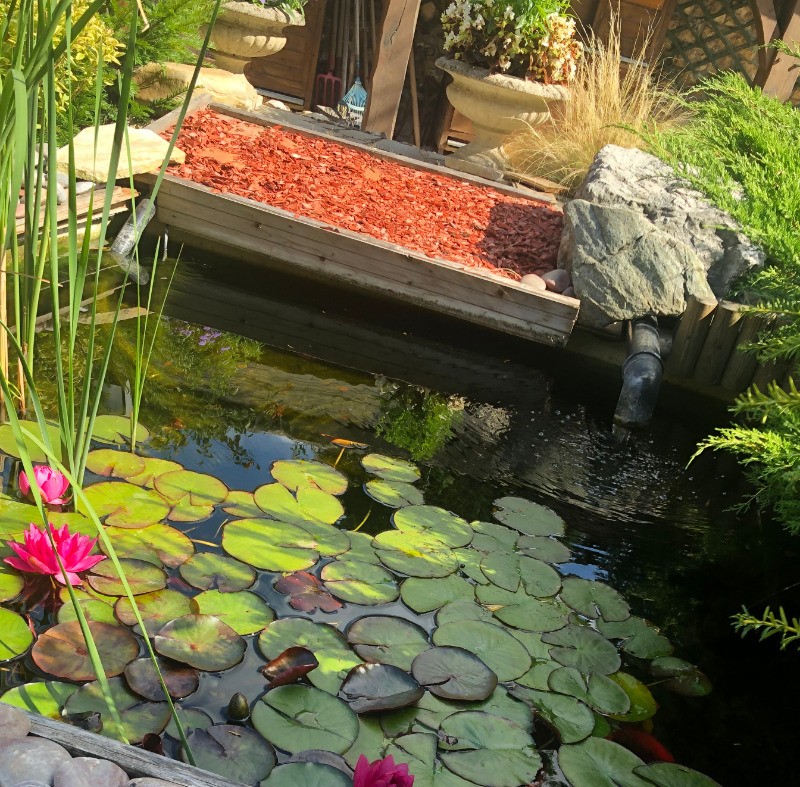 En été vous pourrez profiter du calme de notre grand jardin