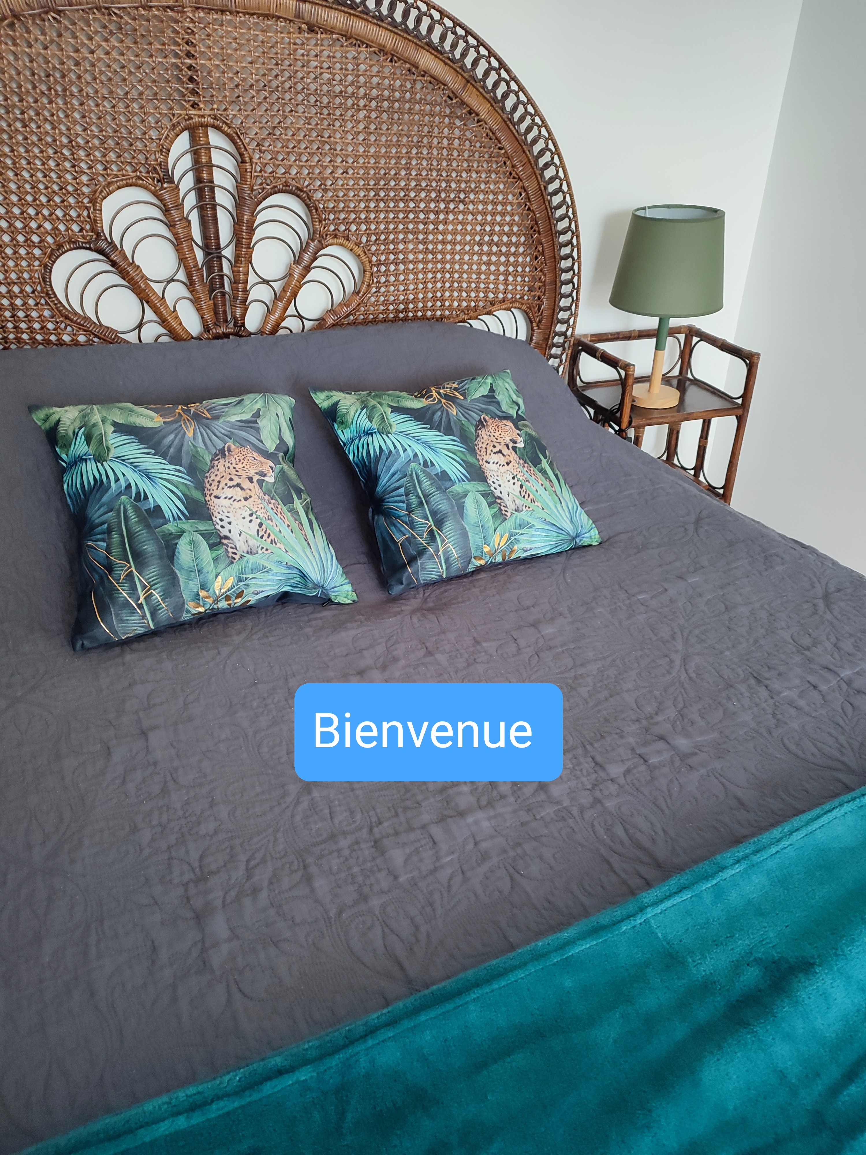 Photo n° 1 of the location