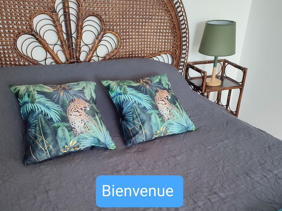Photo n° 1 de la location