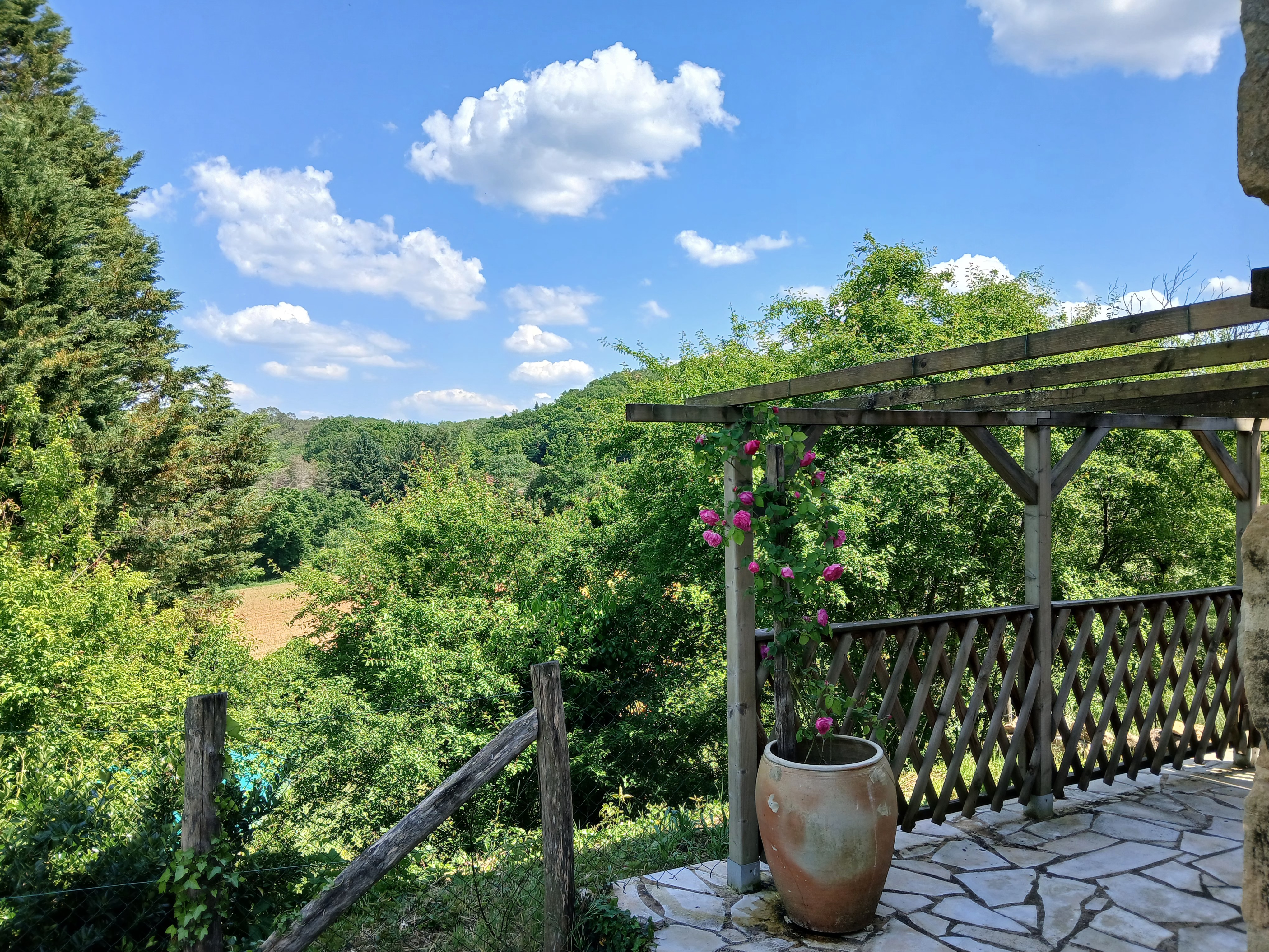 Pergola