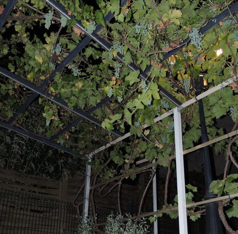 Gîte Hôte-Antique, Marcoux, Alpes de Haute Provence