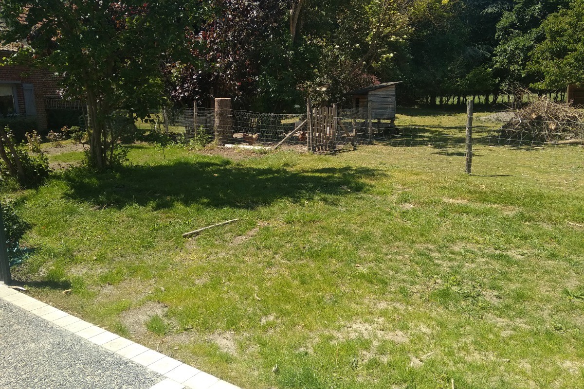 Pleine nature: Vue de la terrasse sur le jardin des moutons, des poules et des charmes