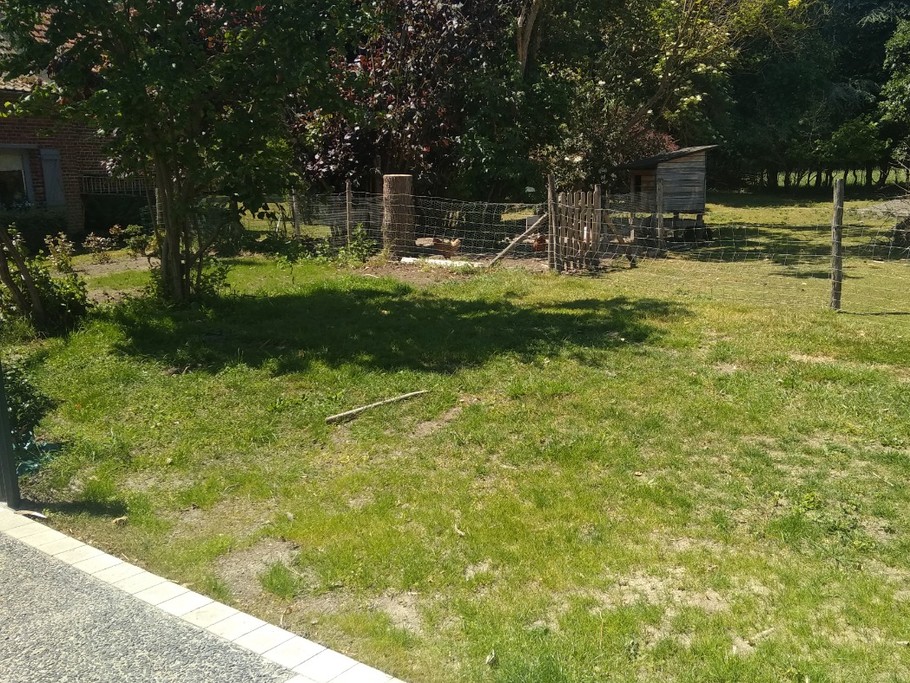 Pleine nature: Vue de la terrasse sur le jardin des moutons, des poules et des charmes