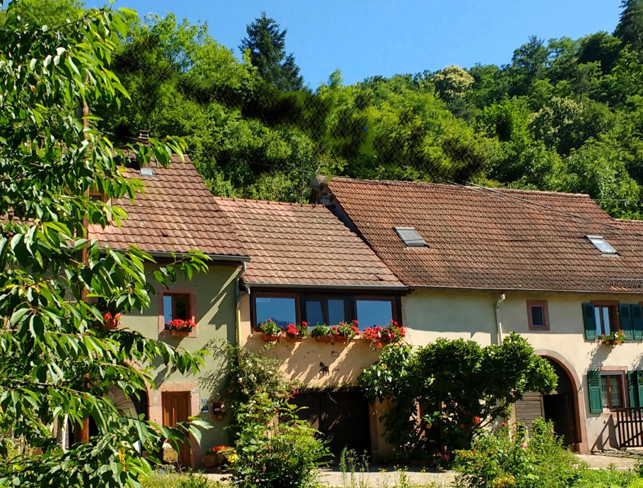 The Vosges farm