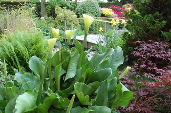 Photo n° 12 of the location