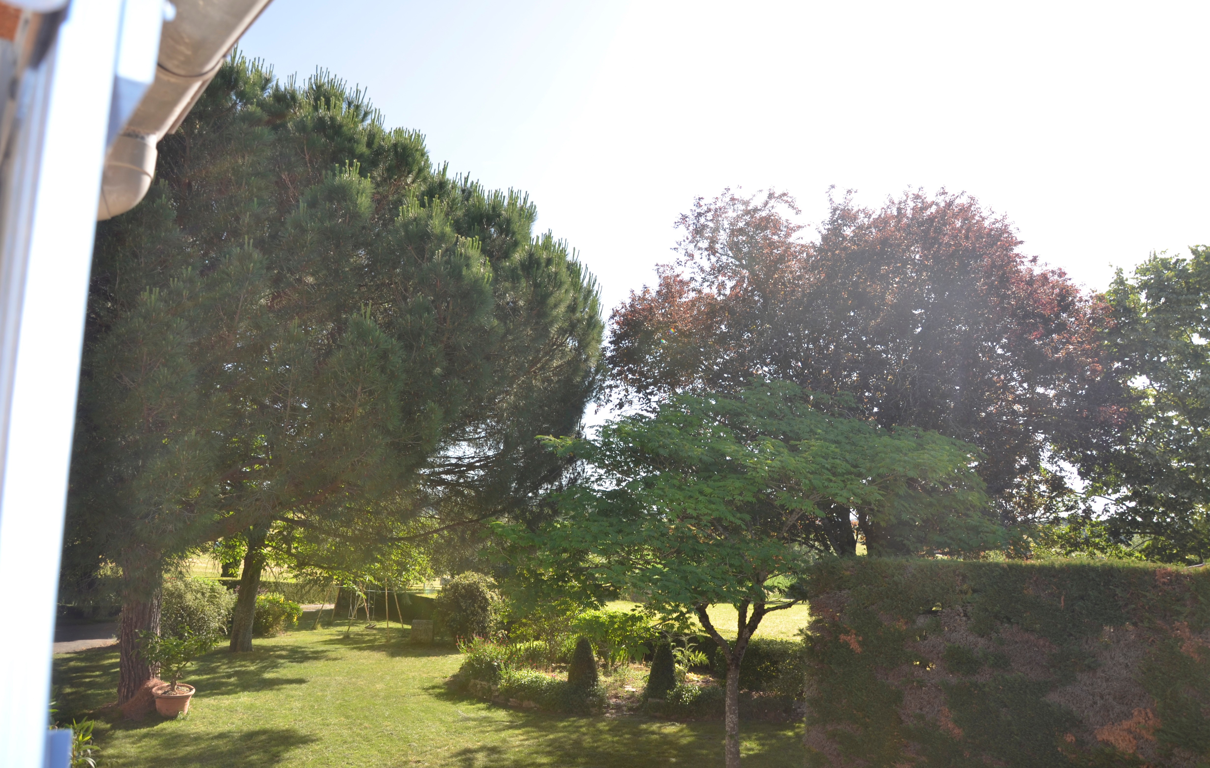 Photo n° 19 of the location