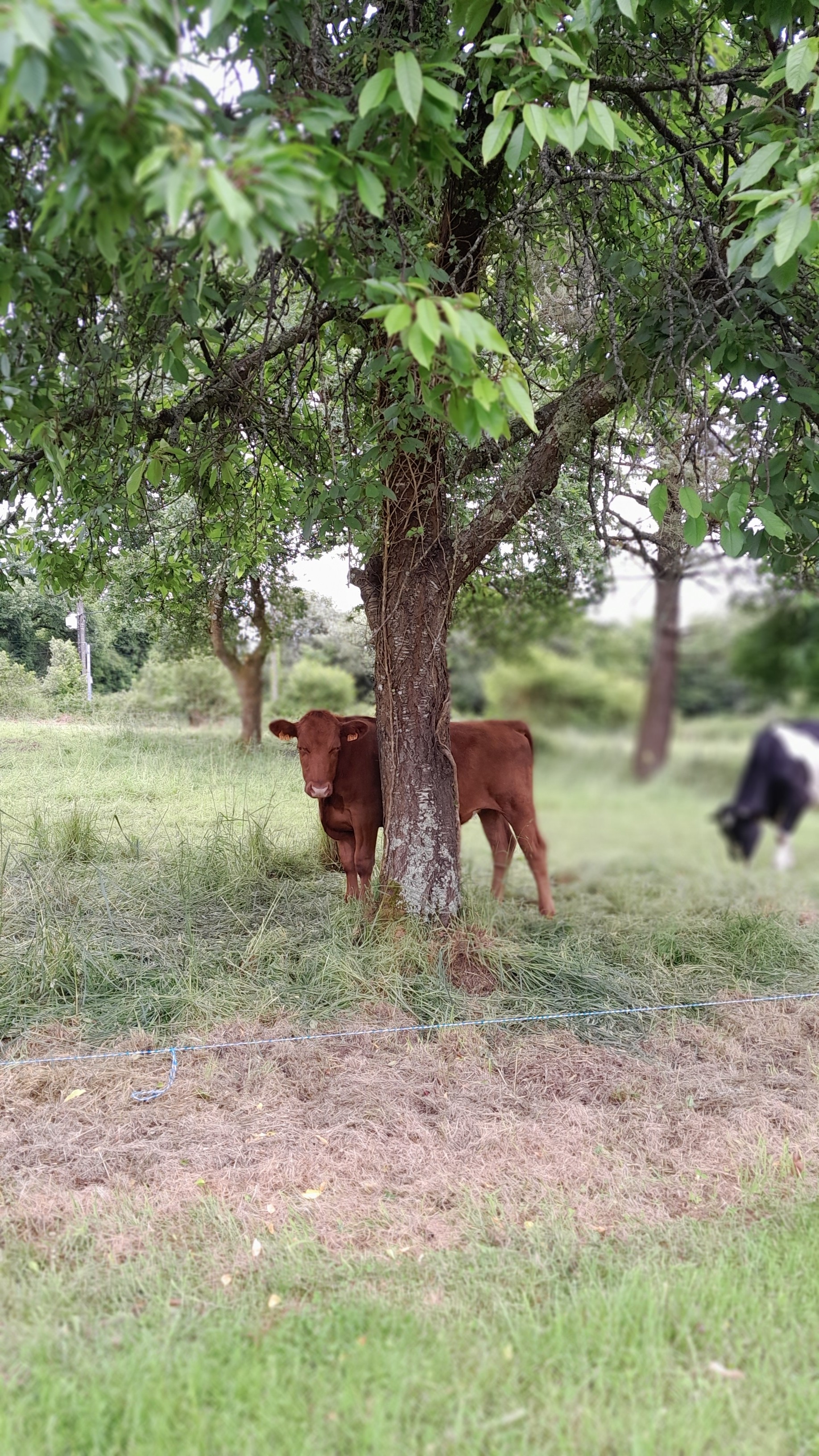 Photo n° 16 de la location