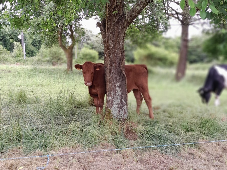 Photo n° 16 de la location