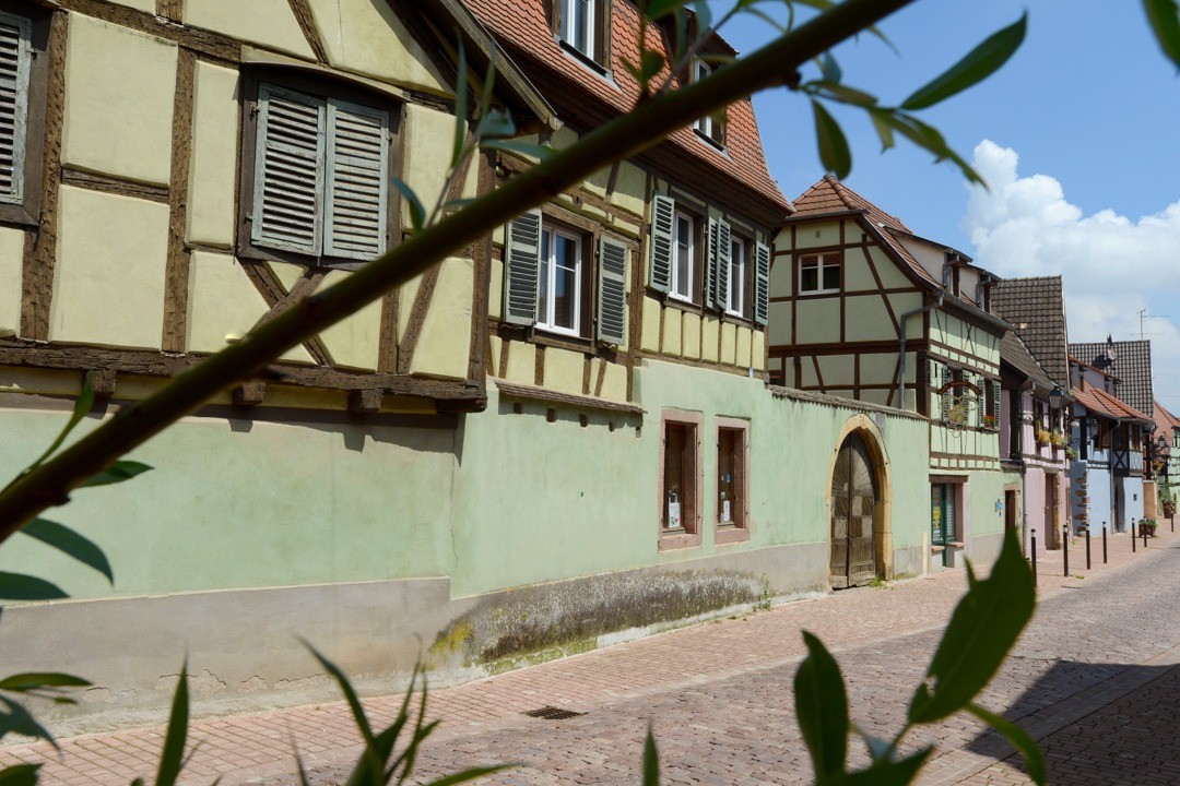 Photo n° 15 de la location