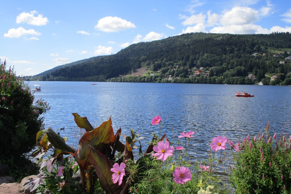 Le lac de Gérardmer - Appartement "Blanc Bois" à Gérardmer