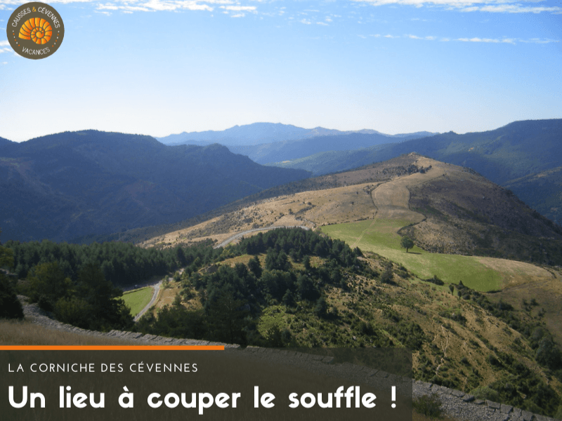 Photo n° 14 of the location