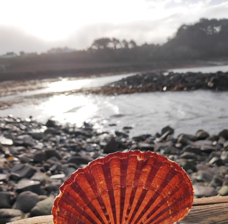 Photo n° 15 of the location