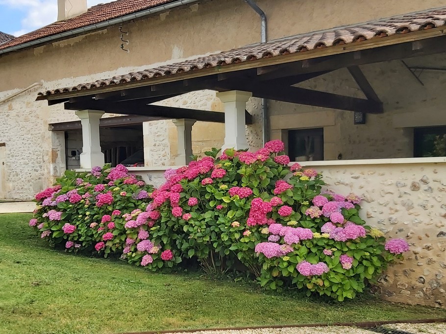 Photo n° 17 of the location