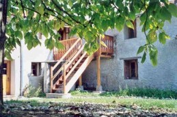 Sous le grand catalpa du Domaine de la loge : une ombre délicieusement fraiche