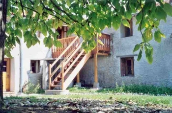 Sous le grand catalpa du Domaine de la loge : une ombre délicieusement fraiche