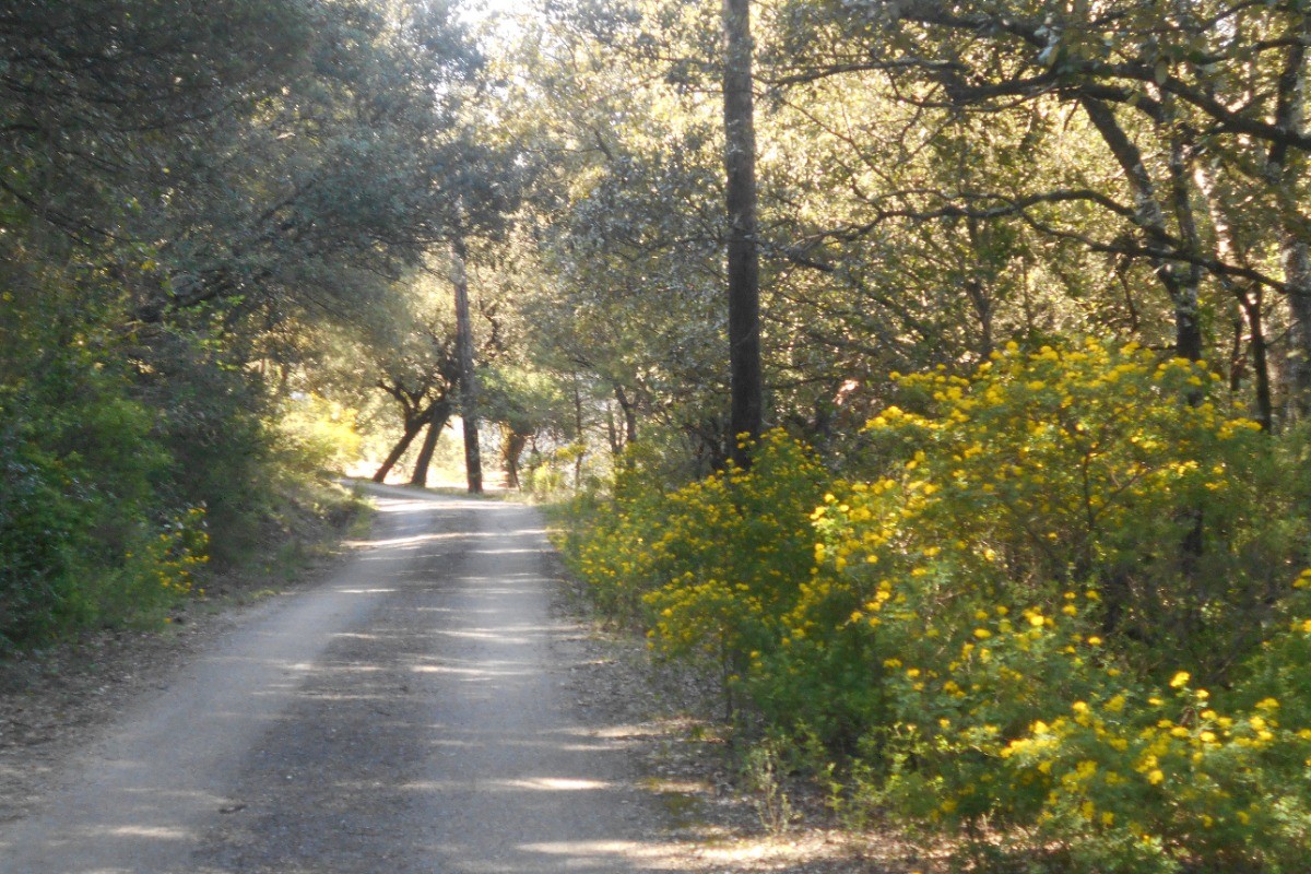 Route D'accés