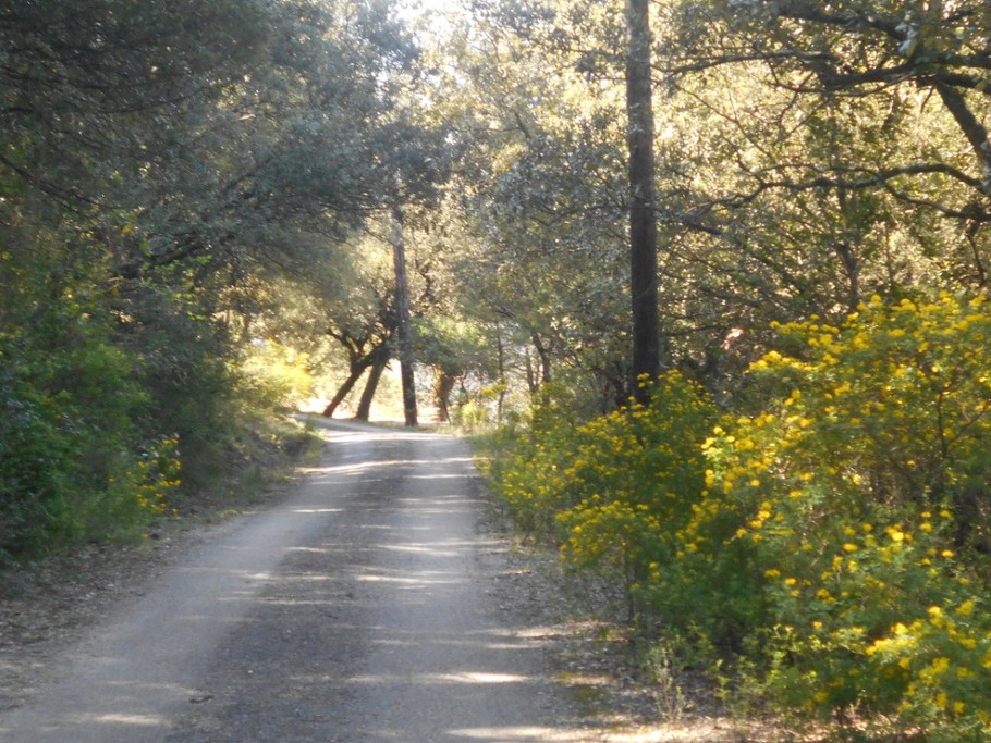 Route D'accés