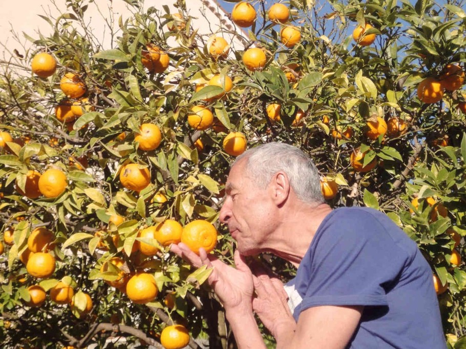SITUE SUR UNE EXPOITATION FAMILIALE