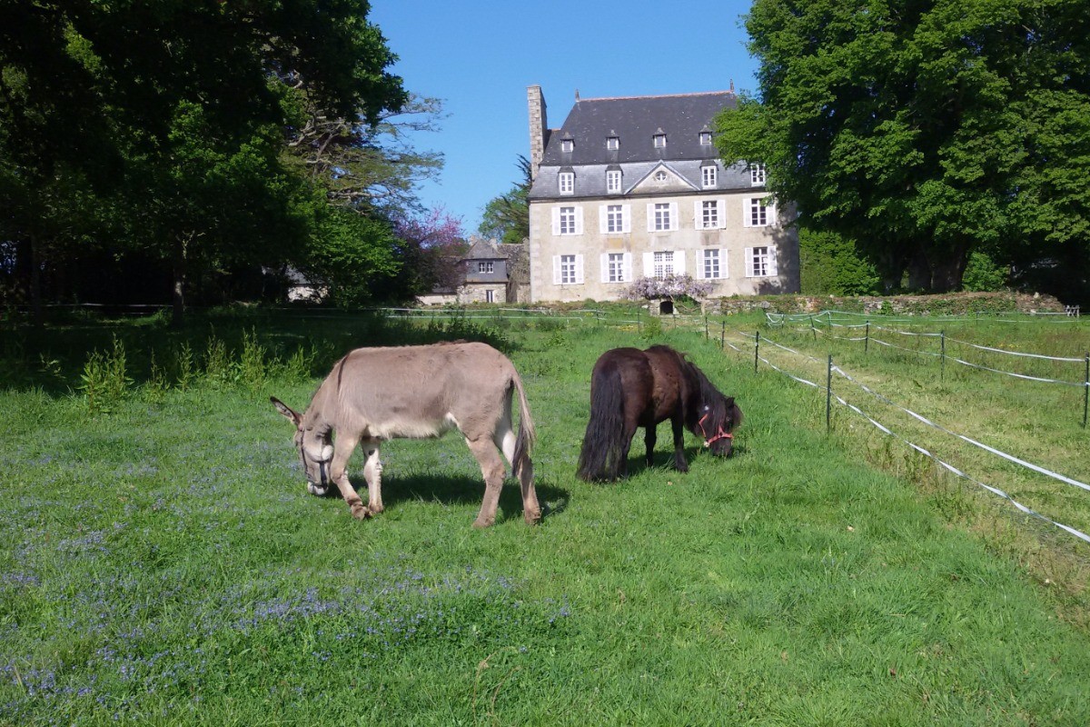 Mulane et tornado