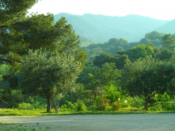 Photo n° 14 de la location